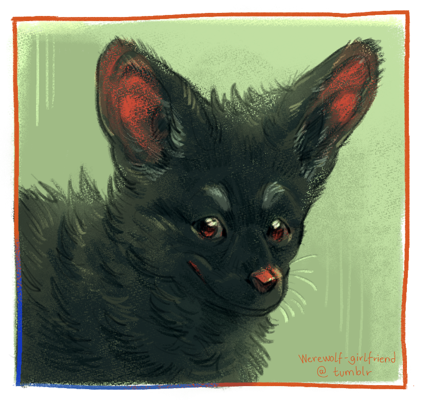 Digital painting of a black fox with a mischievous smirk and huge ears.